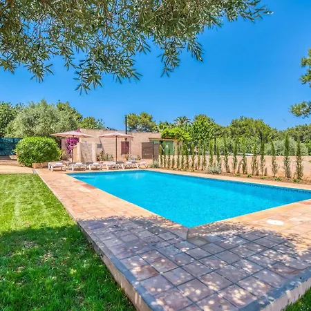 Olivo De Son Jaumell Cala Ratjada (Mallorca)