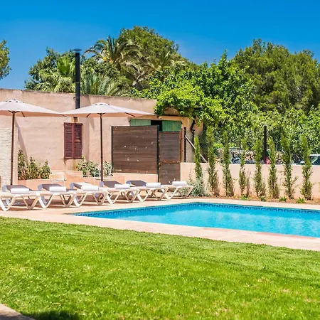 Olivo De Son Jaumell