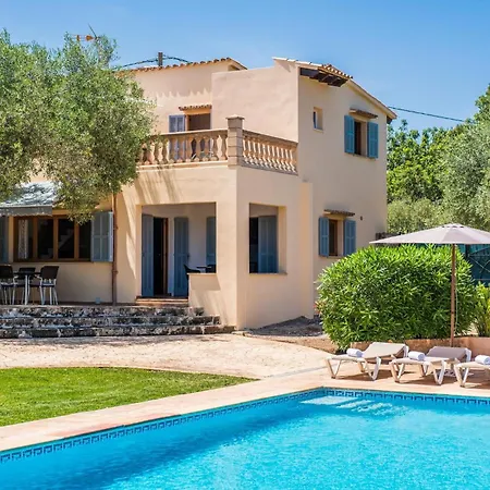 Olivo De Son Jaumell Cala Ratjada (Mallorca)