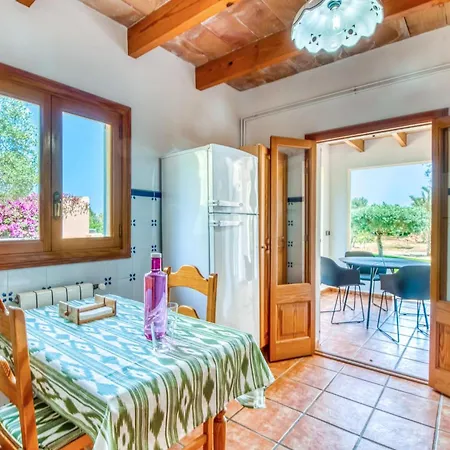 Olivo De Son Jaumell * Cala Ratjada (Mallorca)