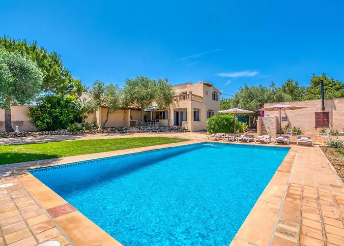 Olivo De Son Jaumell *