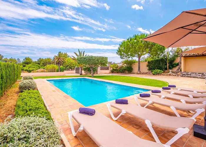 Olivo De Son Jaumell Cala Ratjada (Mallorca)