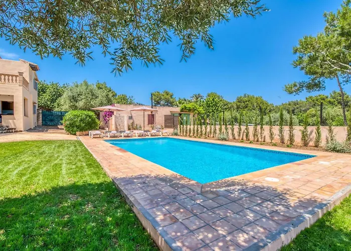 Olivo De Son Jaumell Cala Ratjada (Mallorca)