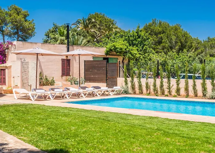 Olivo De Son Jaumell