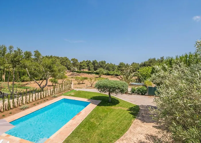 Olivo De Son Jaumell * Cala Ratjada (Mallorca)