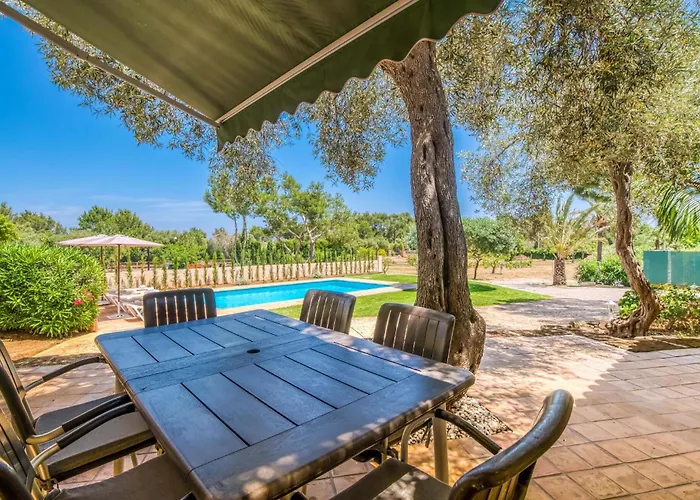 Olivo De Son Jaumell Holiday home