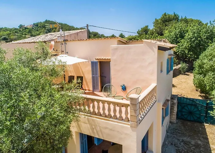 Olivo De Son Jaumell Cala Ratjada (Mallorca)