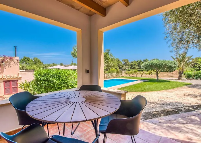 Olivo De Son Jaumell * Cala Ratjada (Mallorca)