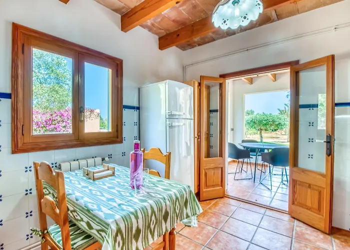 Olivo De Son Jaumell * Cala Ratjada (Mallorca)