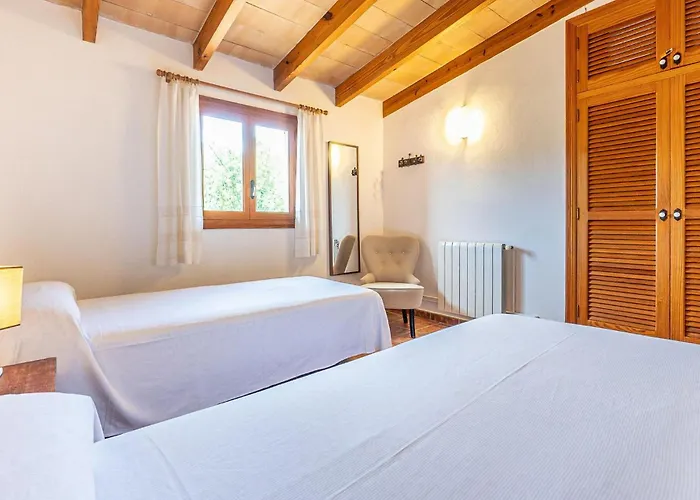 Olivo De Son Jaumell *