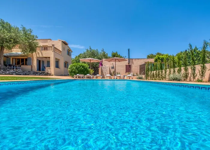 Olivo De Son Jaumell * Cala Ratjada (Mallorca)