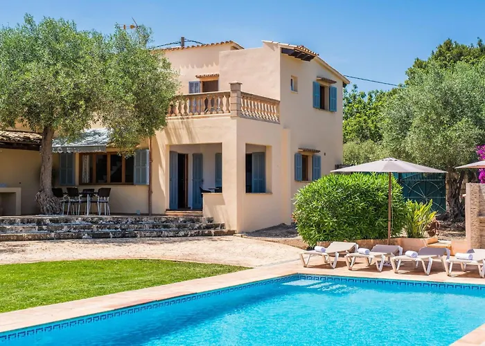 Olivo De Son Jaumell Cala Ratjada (Mallorca)