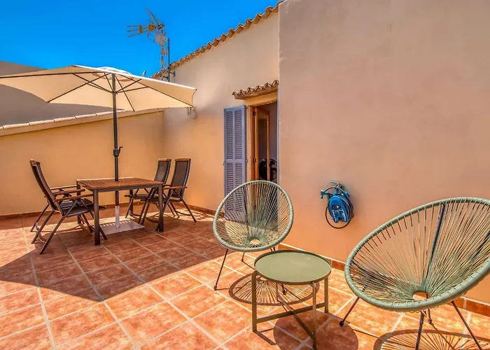 Olivo De Son Jaumell * Cala Ratjada (Mallorca)