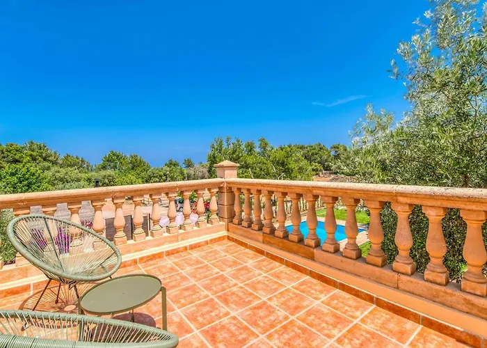 Olivo De Son Jaumell