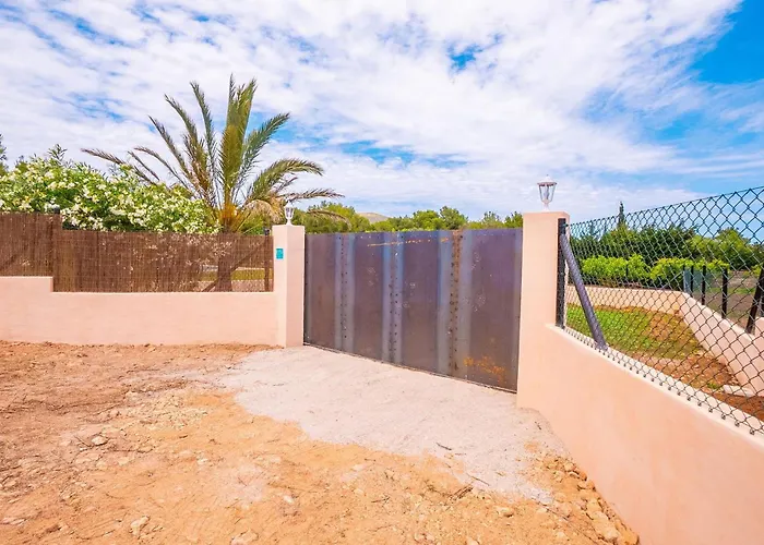 Olivo De Son Jaumell *