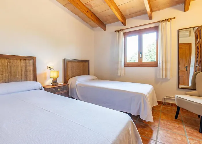 Olivo De Son Jaumell *