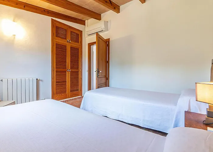 Olivo De Son Jaumell * Cala Ratjada (Mallorca)