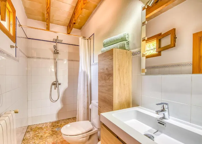 Olivo De Son Jaumell