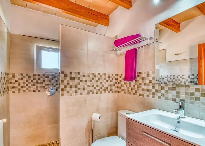 Olivo De Son Jaumell